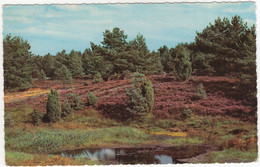 Groet Van De Lemelerberg - (1963) - Hotel Café Restaurant 'De Lemelerberg' En 'Barg-Willem' Bij Ommen - (Nederland) - Ommen