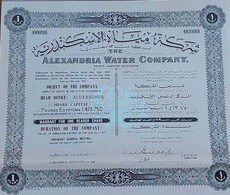 Egypt - The Alexandria Water Company 1959-1 Action-RARE- (Egitto)(Ägypten)(Egipto)(Egypten)Africa - Acqua