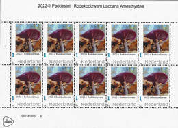 Nederland  2021-1 Paddestoel - Mushrooms  Rodekoolzwam  Laccaria Amesthystea  Vel Sheetlet    Postfris/mnh/neuf - Nuevos
