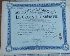 Egypt  -  LES GRANDS HOTELS D'EGYPTE -1 Action- (Egitto)(Ägypten)(Egipto)(Egypten)Africa - Afrique