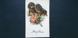 Fantaisie ,chiens ,les  Deux Jeunes Teckels Et Leur Bouquet - Dogs