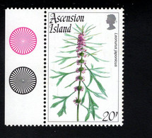 1584434707 1995 SCOTT  604 (XX)  POSTFRIS  MINT NEVER HINGED - FLOWERS - LEONARUS JAPONICUS - Ascension (Ile De L')