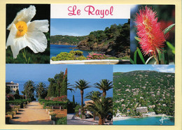 83. LE RAYOL – Multivues / Fleurs (voir Scan Recto/verso) - Rayol-Canadel-sur-Mer
