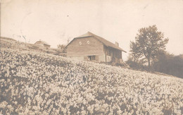 CPA  Suisse, BLONAY, Carte Photo, 1910 - VD Vaud