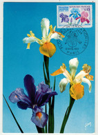 France // Carte Maximum // Floralies Internationales Paris 1969 - 1960-1969