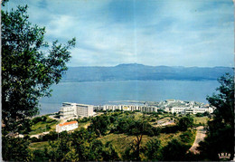 (1 J 54) France - Corse - Hopital D'Ajaccio (posted 1964) - Santé