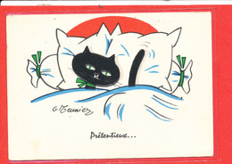 ACHAT IMMEDIAT * CHAT Prétentieux Cp Animée Illustrée Par G MEUNIER   Format 15 Cm X 10.5 Cm - Meunier, G.