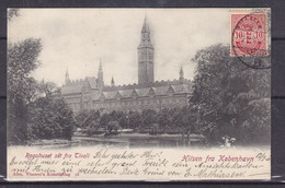 Danemark - Carte Postale De 1905 - Oblit Kjobenhavn - Exp Vers Schönberg Bei Berlin - Vue Tivoli - Covers & Documents