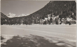 Suisse : CHAMPEX , Valais , Tour  Sallière - Cham