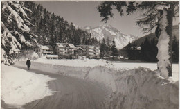 Suisse : CHAMPEX , Valaiset Le  Grand   Combin - Cham