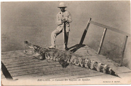 BAS LAOS - CAIMAN DES RAPIDES DE SAMBOR - CHASSEUR / METIER - Laos