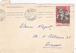 KITTENS, STAMP ON COVER, 1966, ROMANIA - Brieven En Documenten