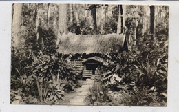 0-3400 ZERBST - LINDAU, Zwergenhäuschen Im Kurpark, 1965 - Zerbst