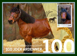 Luxembourg Carte Maximum 100 Joer Ardenner 2022 CHEVAL De Trait Ardennais Maxicard Horse - Maximumkaarten