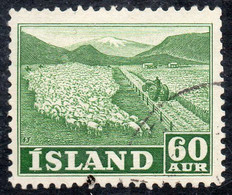 ISLANDIA – ICELAND Sello Usado REBAÑO DE OVEJAS Y TRACTOR X 60 Aurar Años 1950-52 – Valorizado En Catálogo € 30,00 - Gebruikt