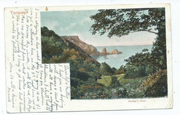 Torquay  Postcard Devon Ansteys Cove Peacock .posted St. Mary Church 1907 To Wynberg South Africa - Torquay