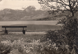 Suisse - Lac De Sarnen - Am Sarnersee - 1957 - Sarnen