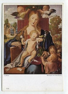 AK 075479 ART / PAINTING - A. Dürer - Madonna Mit Dem Zeisig - Paintings