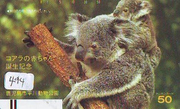 Telecarte Japon * KOALA BEAR * Koalabär (494) BALKEN * FRONTBAR 110-20418 * PHONECARD JAPAN ANIMAL * TIER TELEFONKARTE * - Selva
