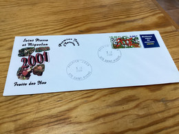 Enveloppe 1er Jour Saint-pierre Et Miquelon 2001 - Used Stamps