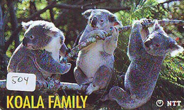 Telecarte Japon * KOALA * BEAR * Koalabär (504) * PHONECARD JAPAN ANIMAL * TIER TELEFONKARTE - Selva