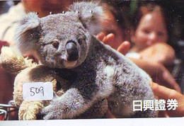 Telecarte Japon * KOALA * BEAR * Koalabär (509) * PHONECARD JAPAN ANIMAL * TIER TELEFONKARTE - Giungla