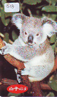 Telecarte Japon * KOALA * BEAR * Koalabär (513) * PHONECARD JAPAN ANIMAL * TIER TELEFONKARTE - Oerwoud