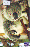 Telecarte Japon * KOALA * BEAR * Koalabär (518) * PHONECARD JAPAN ANIMAL * TIER TELEFONKARTE - Giungla