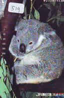 Telecarte Japon * KOALA * BEAR * Koalabär (519) * PHONECARD JAPAN ANIMAL * TIER TELEFONKARTE - Oerwoud