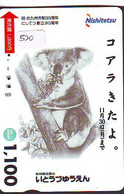 Telecarte Japon * KOALA * BEAR * Koalabär (520) * PHONECARD JAPAN ANIMAL * TIER TELEFONKARTE - Giungla