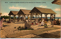 Florida A Popular Winter Pastime On The Greater Gulf Beaches - St Petersburg