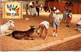 Texas Dallas-Fort Worth Six Flags Over Texas Animal Kingdom U S Section - Dallas