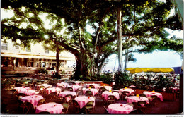 Hawaii Waikiki Moana Hotel's World Famous Banyan Court Lanai - Honolulu