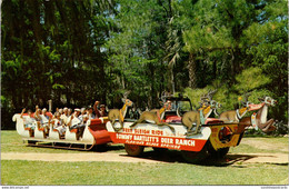 Florida Silver Springs Tommy Bartlett's Deer Ranch Sleigh Ride 1960 - Silver Springs