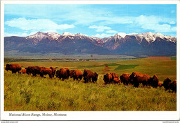 Montana Moiese National Bison Range Buffalo Herd 1987 - Andere & Zonder Classificatie