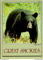 Smokie Mountains National Park Black Bear 1983 - Parques Nacionales USA