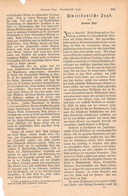 1238 Vogt Amerika Jagd Jäger Artikel / Bilder 1885 !! - Other & Unclassified