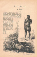 A102 1246-2 Moritz Alsberg Port Natal Durban Südafrika Artikel / Bilder 1884 !! - Politik & Zeitgeschichte