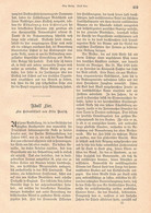 A102 1260 Adolf Lier Gedenkblatt Landschaftsmaler Artikel / Bilder 1883 !! - Malerei & Skulptur