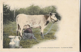 27   A Travers La Campagne Normande -  Edition Renard Pont Audemer -  La Traite  Des Vaches - Autres & Non Classés