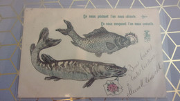 1 Er Avril  POISSON - 1er Avril - Poisson D'avril