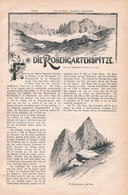 A102 1266 Emil Terschak Rosengarten Catinaccio Dolomiten Artikel / Bilder 1896 !! - Autres & Non Classés