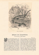 1269 Karl Oenike Skizzen Aus Argentinien Artikel / Bilder 1897 !! - Otros & Sin Clasificación