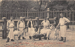 PARIS-75005-JARDIN DES PLANTES- LE REPAS DE L'HIPPOPOTAME MARIUS NE A LA MENAGERIE LE 15 AOUT 1907 - Paris (05)