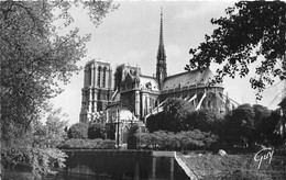 PARIS-NOTRE-DAME  VUE DU SUD-EST - Notre-Dame De Paris