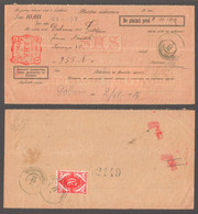 DUE PORTO Stamp / Postal Check Money Order Form / Yugoslavia - SHS SLOVENIA Ljubljana - 1919 - Portomarken