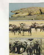 B6551) ZIMBABWE Boasts An Abundance Of Wildlife CROCODILE Blue Wildebeest Browse Elephant - AIRMAIL Simbabwe 1989 - Zimbabwe