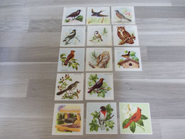 Lot Van 14 Verschillende Chromo"s Van FORT Uit Het Album VOGELS - Chromo's Fortprodukten - Animales