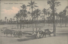 LIBIA / LIBYA - TRIPOLI - STRADA EL MESRI - EDIT. ISAAC TAAR - MAILED TO ITALY - 1912 (11342) - Libye