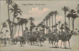 LIBIA / LIBYA - TRIPOLI - STRADA LANZUR - EDIT.  ALTEROCCA - MAILED TO ITALY - 1911 (11343) - Libya